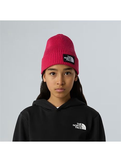  THE NORTH FACE | NF0A8CGU/BOS1